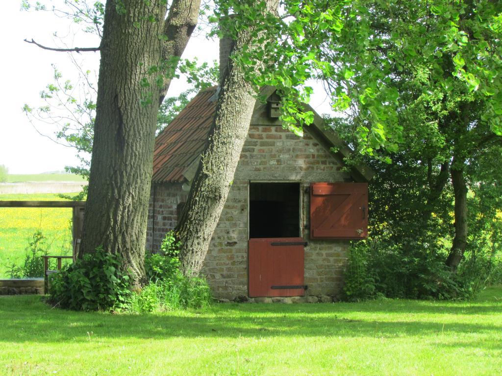 Historischer Davidshof - Mit Dem Rad Die Nordseehalbinsel Erkunden Oldenswort Exterior photo